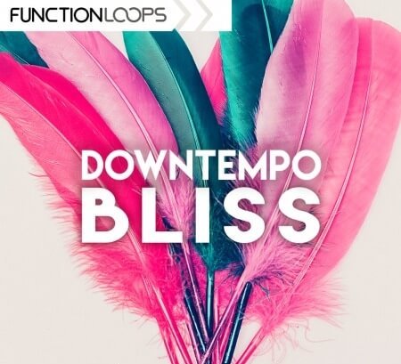 Function Loops Downtempo Bliss WAV